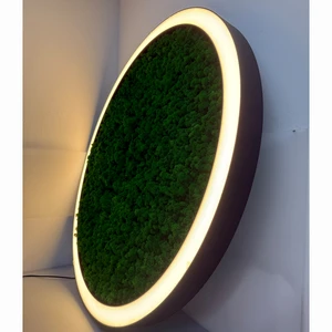 Modern Design Custom Size Green Moss in the Middle Round Shape Pendant Linear Light