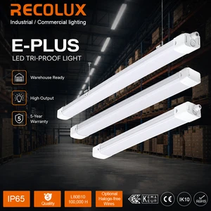 Phase Switchable 40W LED Tri Proof Light IP65 19500LM Dimmable CRI 80-90 165lm/W Industrial Lighting 5-Year Warranty for