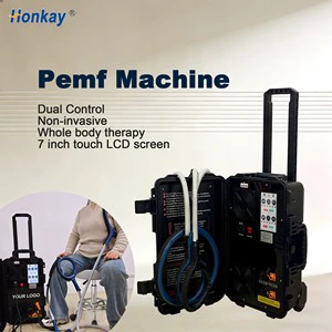 Hot Pick Portable High Powered Pemf Machine for Promotes Tissue Repair and Blood Circulation Improvement
