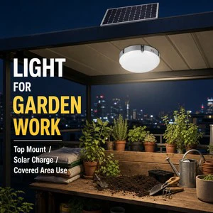 Adjustable Brightness Solar LED Ceiling Light CE RoHS Certified Energy Efficient for Balcony Hallway Barn Farmhouse