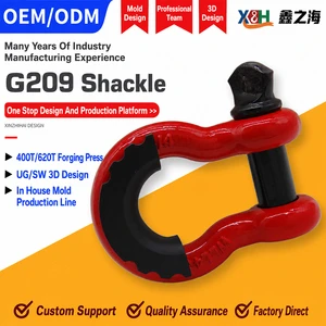 Heavy Duty Drop Forged Stainless Steel Bow Shackle Anchor Shackle Screw Pin Offshore Shackle