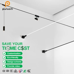 PULUOTI Wholesale Modern Style Skyline Linear LED Wall Washer Cob Chip Track Lights With Aluminum Frame 6m-12m Custom Lengths