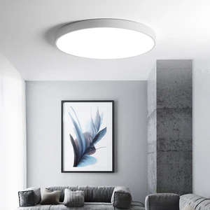 Modern Fashion Style Iron Acrylic Living Room Bedroom Hallway Indoor Linear Light Multi-Color Temp Recessed Mount White Led