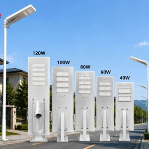 Ready to Ship Professional Energy Saving Residential Area Garden Automatic Solar Road Lamp LED Solar Street Light