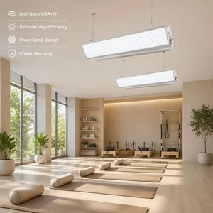 Ledmic 50W 100W 150W Anti Glare Yoga Pilates Studio Light MLL Linear LED High Bay Wellness Center Elite Manufacturer