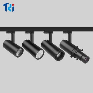 Premium Factory Direct Sale 30W CCT Tunable 0-100% Dimmable Led Track Spot Light for Gallery Art Painting