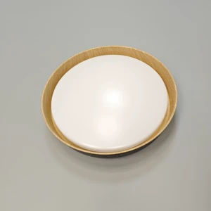 Nordic Minimalist Iron Art Wood Grain LED Ceiling Light Indoor Home Lighting Circular Decorative Ceiling Lamp