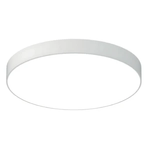 5 Inch Drive on Board Edgelit Low Profile Flush Mount Ceiling Light Round LED Slim Surface Mount Light Wet Reted ETL Certified