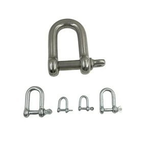 Hot Selling Stainless Steel 304/316 Shackles M8 D Shackle Type