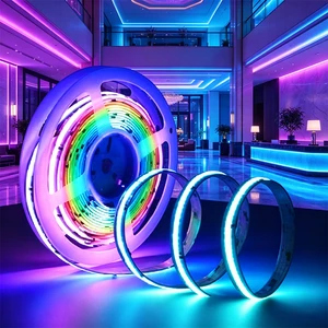 Ready to Ship 12V 24V SPI WS2811 RGBIC Chasing Effect Flexible COB LED Strip for Architectural Contour Lighting