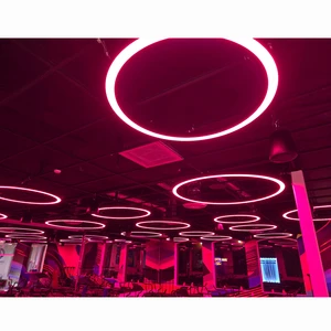 CE Approved Suspending Multi-color Round Led Pendant Linear Light with Different Shell Colors