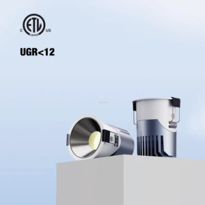 ETL IP65 Industrial Recessed 10W 15W 25W 30W Full Aluminum COB Adjustable Retractable Commercial LED Down Light