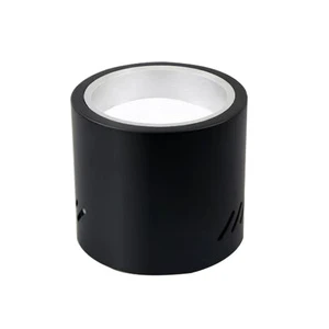 Wholesale COB LED Downlight 10W 220V Aluminum Surface Mount Reflective Cup 3500K Warm White 2-Year Warranty for Lighting