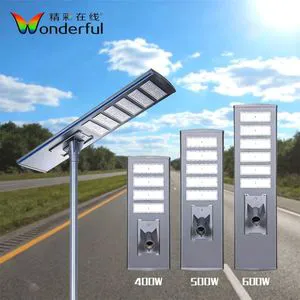 600W High Efficiency Solar Streetlight Optical Control Rugged Weatherproof Lighting