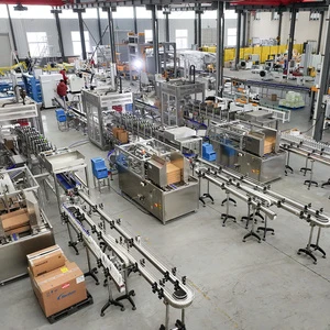 Multi Pick Pick and Place Case Packer with Automatic Collating for Bottles, Boxes and Rigid Containers
