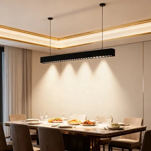 Robust Industrial Grade Linear LED Fixture for High Ceiling Warehouses and Gyms