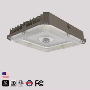 Minglight Durable IP65 Waterproof LED Parking Garage Lights 100W 80W 60W Canopy Light for Warehouse 40W 30W 20W Variants
