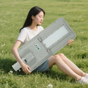 10W 3000K Aluminum LED Solar Street Light Outdoor Wall Lamp 3 Modes Motion IP65 Rating Road All in One Motion Solar Street Lamp