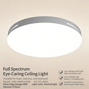 High Quality Fashion Style Decorative Home Lighting Home Office Modern Design Led Surface Mounted Metal Ceiling Lamp IP33 Rated