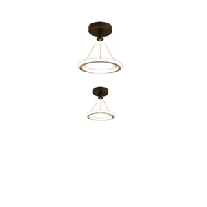 Modern 19W LED Ceiling Light Simple Indoor Wrought Iron Panels Home Office & Living Room Decor Ceiling Lamp