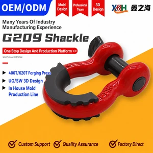 Premium Ce Certified Alloy Steel Stainless Steel 304 Carbon Steel Bolt Type D Shackle Bow Shackle High Strength Lifting Shackle