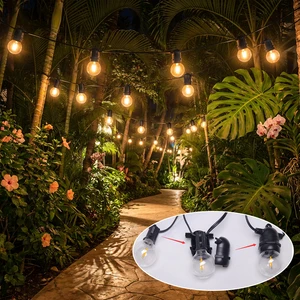 Professional Factory Outdoor Solar Festoon Garden Lighting G45 String Light 100m 50m 20m 15m Glamping Party Decoration