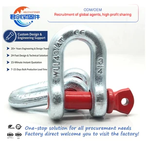 DIN82101/ISO2415 U-Shaped Shackle Buckle Wire Rope Lock Chain Connection Stainless Steel 304 316 Carbon Steel Galvanized Mining