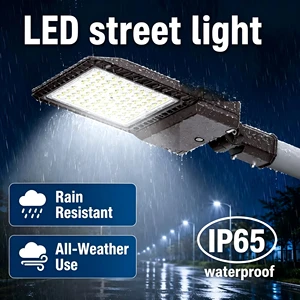 Best Seller IP65 Road Solar Street Light 5 Years Warranty 100w 200W Driveway Highway Lights with Pole