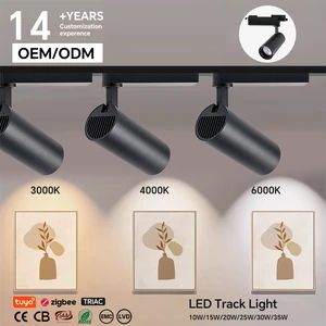2/3/4 Wire Universal Dimmable Aluminum LED COB Track Light 25W CE LVD RoHS Custom Supported For Office/Shop Use