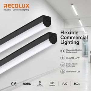 RECOLUX EM3H Emergency LED Luminaire DALI Dimming Light for Hospital Corridor and Public Spaces