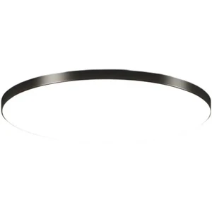 Modern LED Ceiling Light Dustproof Three Proof Light Kitchen Bedroom Bathroom Living Room Indoor Home Ceiling Lamp