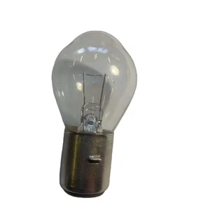 12V 20W BA20S with Linear Filament and Unique Glass and the Base Is Fine