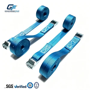 Wholesale High Tenacity Deep Color Polyester Webbing 25mm Cam Buckle Cargo Tie Strap With Hook Customizable Length For Lifting