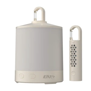 Multifunctional Outdoor Camping Solar Lamp with Separate Double Design LED Light Source Colorful Output for Garden Application