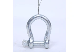 Chenli High Quality Various Styles Shackle