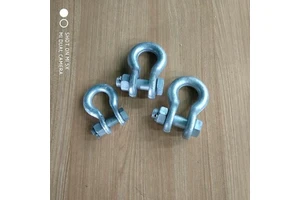 Direct Factory Hot Galvanized Anchor Shackle for Transmission Hardware Accessories