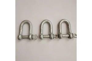 Dee Shackle D Ring Shackles European Type Shackle Wholesale