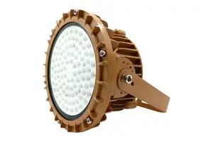Amber Triproof Firefighting Maintenance-free Assembly Explosion-proof Light with DONE Option for Stairwell Garage External Risk
