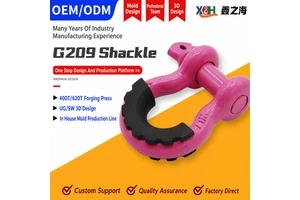 Industrial Alloy Steel Ce Certified Bow Shackle D Shackle Screw Pin Durable Lifting Shackle