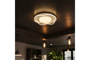 Modern Nordic Style Indoor Home Living Room Decorative LED Ceiling Lamp