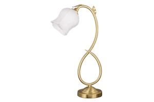 A8343-1 Modern Decorative LED Table Lamp Elegant Home Lighting Decor