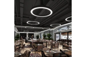 Customized Curved Aluminum LED Profile Suspended Light Wholesale Black Golden Circular Linear Office Lighting