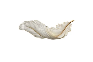 Feather Decorative Painting LED Wall Lights Hotel Living Room Modern Interior Feather Decor Wall Lamps