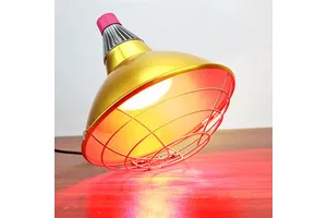 Farmhouse Style Round Gold Aluminum Anodized Finish Heat Lamp Reflector Shade 2m Cable Chain for Light Covers Easy Installation
