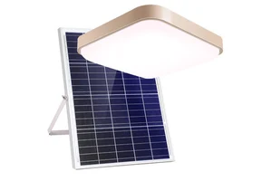 Two in One Solar Floodlight Ceiling Light Outdoor LED High-Power Outdoor Solar Remote Control Landscape Spotlight Lighting