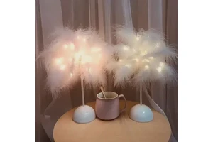Light Gold Ostrich Flashing String Lights Stars Christmas Girl Heart Feather Lamp Room Dormitory Decoration Table Lamp