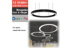 Custom Round Lamp Shape Large Curve Linear Light