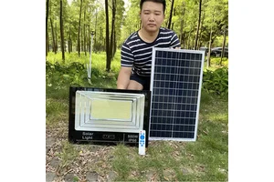 Super Bright Garden Outdoor Flood Lights New Arrival Waterproof 25w 40w 60w 100w 200w 300w Professional Solar Led Floodlight