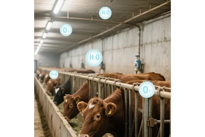 Indoor Dairy Farm Negative Ion LED Tri Proof Light 4FT 5FT 40W 60W IP65 Antibacterial Tri Proof Lamp Pig Farm Sheepfold Lighting