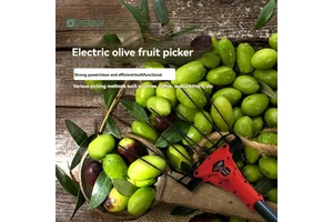 Multifunctional Electric Fruit Picker for Olive Coffee and Nut Harvesting